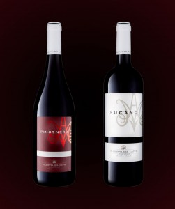 Our Latest Red Vintages